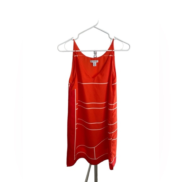 Carolina Belle - Picture 1 of 3